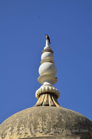 04 Fort_Amber_and Elephants,_Jaipur_DSC5140_b_H600